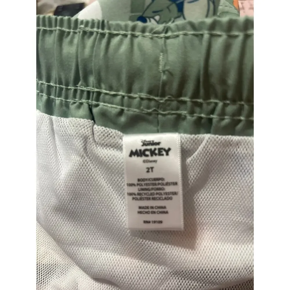 Disney mickey mouse